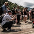 Exploring the Excitement Beyond the Races at Sports Car Events